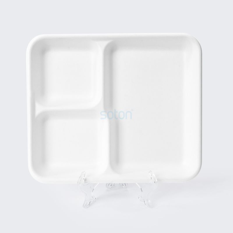 Disposable Biodegradable Sugarcane Bagasse 4 Compartments Box