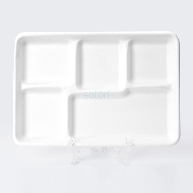 Disposable Biodegradable Sugarcane Bagasse 5 Compartments Square Plate
