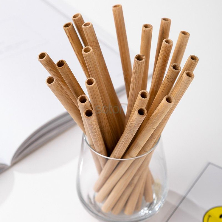 Natural Eco Friendly Reusable Bamboo Straws Wtih Green Skin