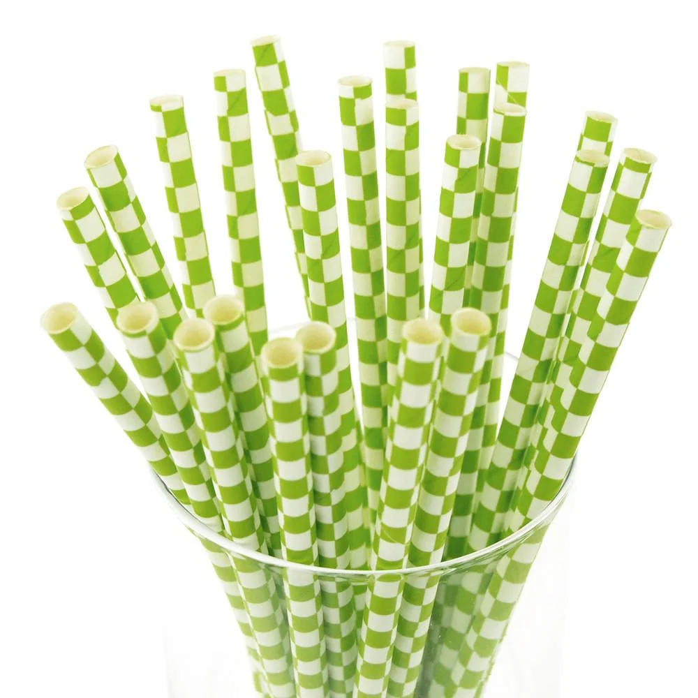 Eco-Friendly Paper Straws Manufactory Responds to Green Market Demands with Steady Innovation