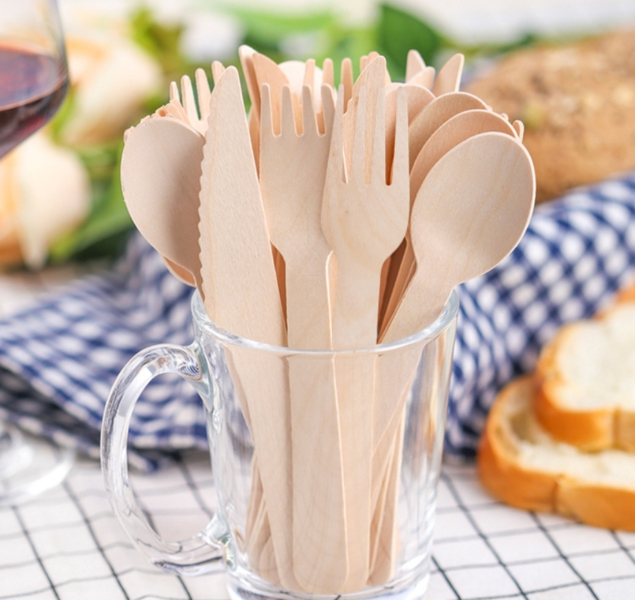 Disposable eco-friendly tableware: a silent revolution that redefines global dining